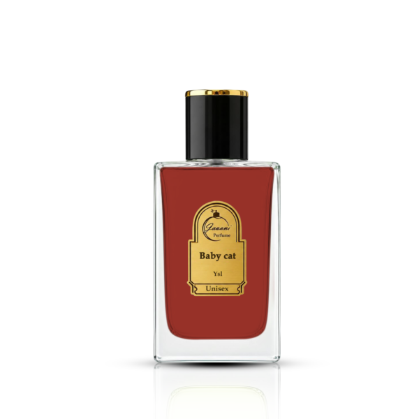 Ysl   Baby cat